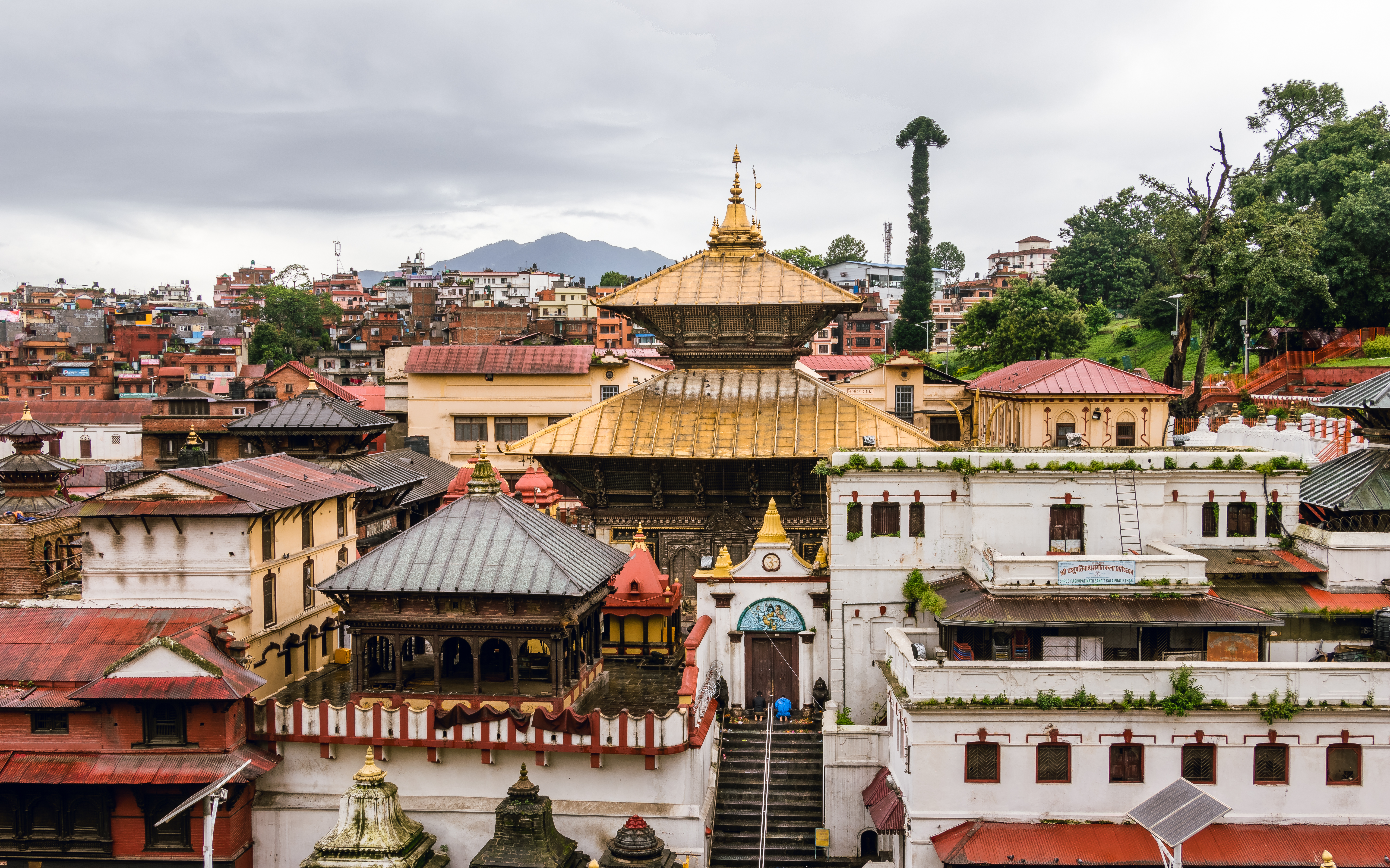 Pashupatinath Temple in Kathmandu, Sacred Hindu Temple
