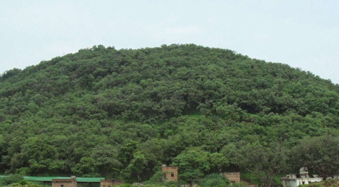 Sacred Kamadgiri Hill in Chitrakoot, surroundes by dense forests and pilgrimage  path